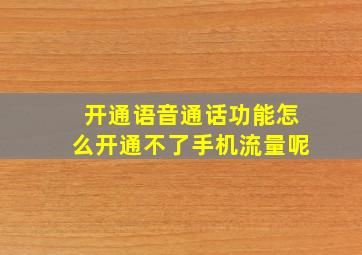 开通语音通话功能怎么开通不了手机流量呢