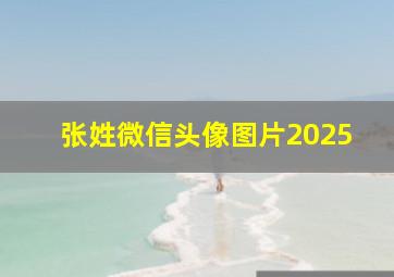 张姓微信头像图片2025