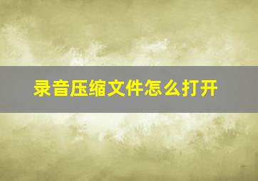 录音压缩文件怎么打开