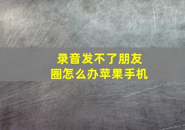 录音发不了朋友圈怎么办苹果手机