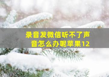 录音发微信听不了声音怎么办呢苹果12