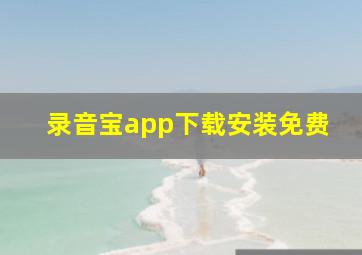 录音宝app下载安装免费