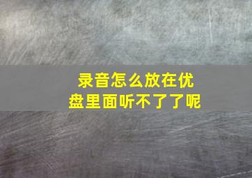 录音怎么放在优盘里面听不了了呢