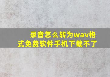 录音怎么转为wav格式免费软件手机下载不了