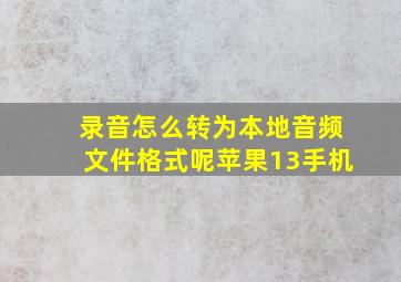 录音怎么转为本地音频文件格式呢苹果13手机