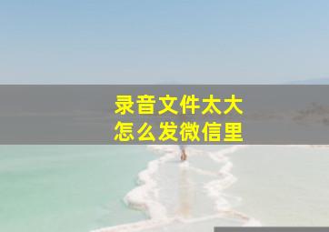 录音文件太大怎么发微信里