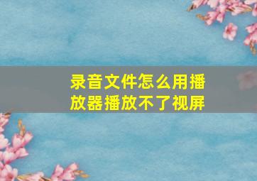 录音文件怎么用播放器播放不了视屏