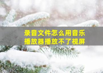 录音文件怎么用音乐播放器播放不了视屏