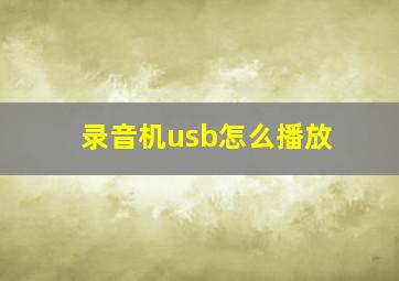 录音机usb怎么播放