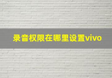 录音权限在哪里设置vivo