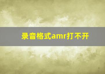 录音格式amr打不开