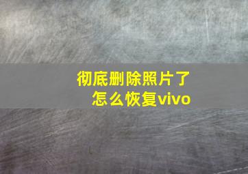 彻底删除照片了怎么恢复vivo