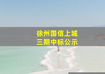 徐州国信上城三期中标公示