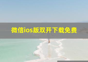 微信ios版双开下载免费