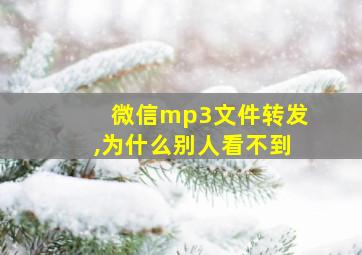 微信mp3文件转发,为什么别人看不到