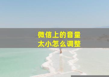 微信上的音量太小怎么调整