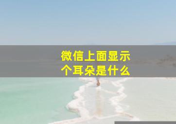 微信上面显示个耳朵是什么