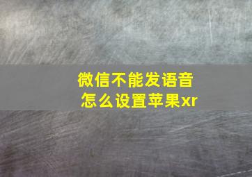 微信不能发语音怎么设置苹果xr