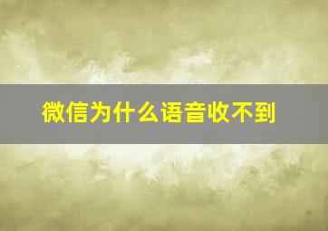 微信为什么语音收不到