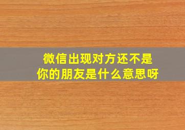 微信出现对方还不是你的朋友是什么意思呀