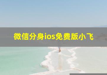 微信分身ios免费版小飞