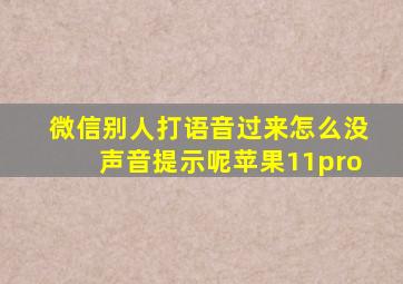 微信别人打语音过来怎么没声音提示呢苹果11pro