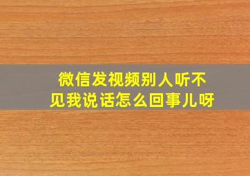 微信发视频别人听不见我说话怎么回事儿呀