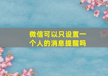 微信可以只设置一个人的消息提醒吗