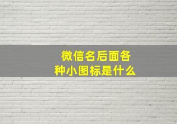 微信名后面各种小图标是什么