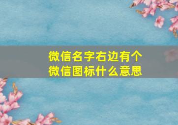 微信名字右边有个微信图标什么意思