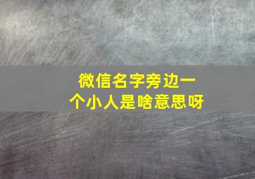 微信名字旁边一个小人是啥意思呀