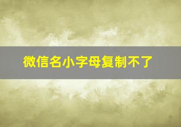 微信名小字母复制不了