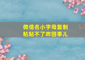 微信名小字母复制粘贴不了咋回事儿