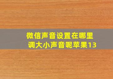 微信声音设置在哪里调大小声音呢苹果13