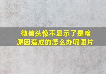 微信头像不显示了是啥原因造成的怎么办呢图片