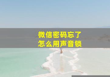 微信密码忘了怎么用声音锁