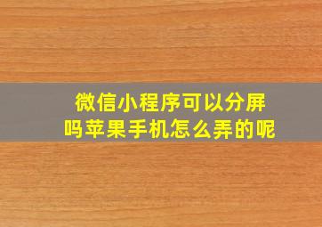 微信小程序可以分屏吗苹果手机怎么弄的呢