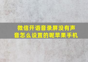 微信开语音录屏没有声音怎么设置的呢苹果手机