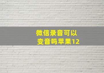 微信录音可以变音吗苹果12