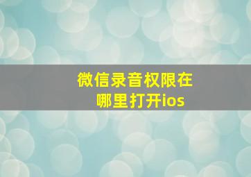 微信录音权限在哪里打开ios