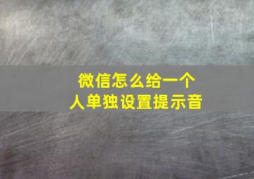 微信怎么给一个人单独设置提示音