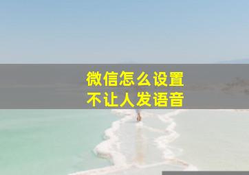 微信怎么设置不让人发语音