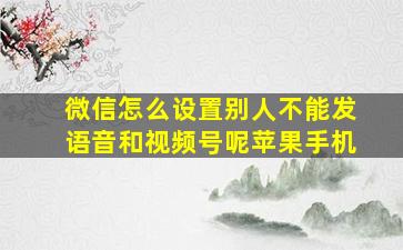 微信怎么设置别人不能发语音和视频号呢苹果手机