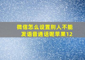 微信怎么设置别人不能发语音通话呢苹果12