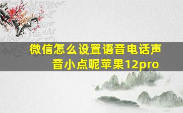 微信怎么设置语音电话声音小点呢苹果12pro