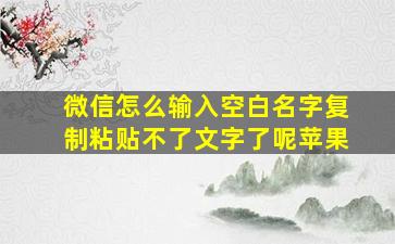 微信怎么输入空白名字复制粘贴不了文字了呢苹果