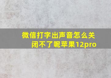 微信打字出声音怎么关闭不了呢苹果12pro