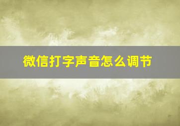 微信打字声音怎么调节