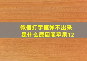 微信打字框弹不出来是什么原因呢苹果12