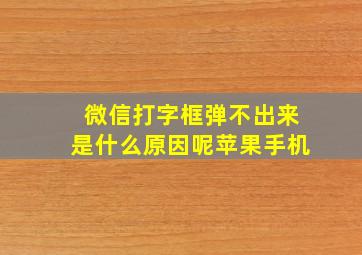 微信打字框弹不出来是什么原因呢苹果手机